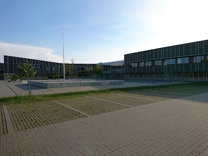 Snejbjerg Skole