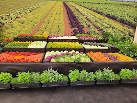 ÖGA Schweiz. Fachmesse für Garten- Obst und Gemüsebau