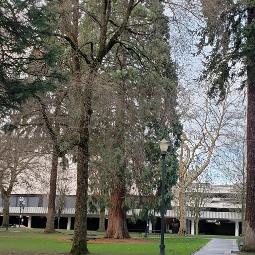 Park «Holladay Park», reviews and photos, NE Holladay St & NE 11th Ave, Portland, OR 97232, USA