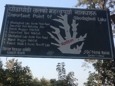 Photos of Ghodaghodi Lake