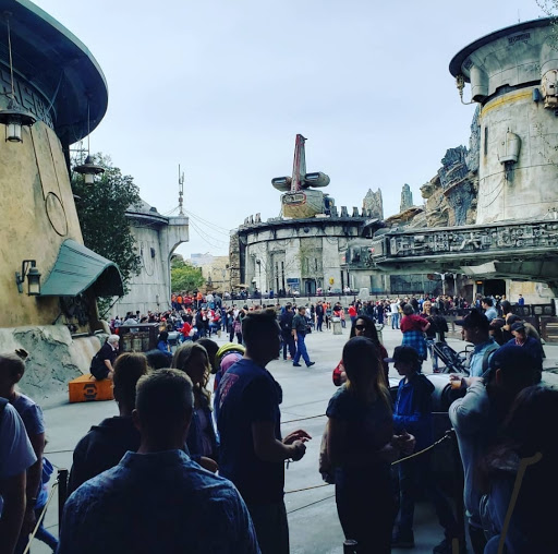 Cruise Agency «Sun Travel Inc», reviews and photos, 4420 N Mesa St, El Paso, TX 79902, USA