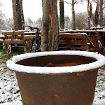 Photo n°2 de l'avis de Maurizio.n fait le 01/03/2018 à 20:58 sur le  Agriturismo biologico la Pulledraia à Alberese