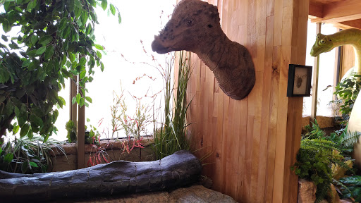 Museum «Creation Evidence Museum», reviews and photos, 3102 FM 205, Glen Rose, TX 76043, USA