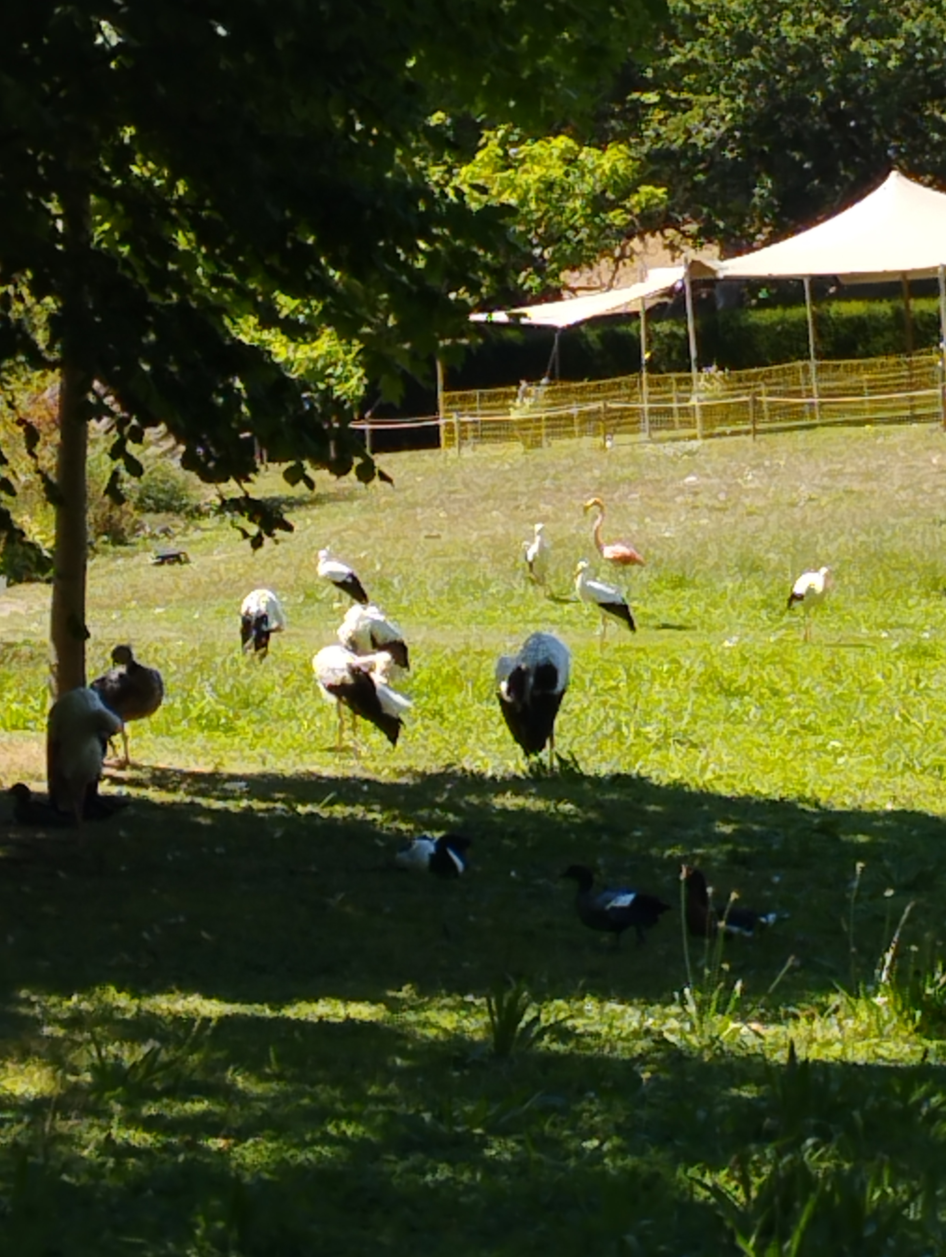 Photo n° 6 de l'avis de Christine.e fait le 10/08/2022 à 21:47