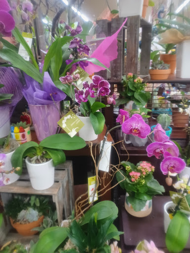 Grocery Store «Vons», reviews and photos, 600 E Broadway, Long Beach, CA 90802, USA