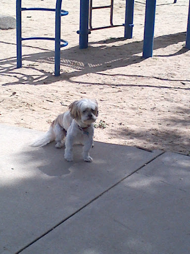 Park «Vermijo Park», reviews and photos, 2601 W Vermijo Ave, Colorado Springs, CO 80904, USA