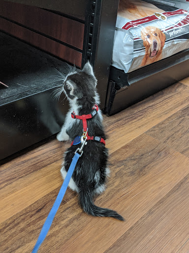 Pet Supply Store «Pet Valu», reviews and photos, 1305 West Seventh Street #28, Frederick, MD 21702, USA