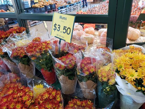 Produce Market «Produce Junction Inc», reviews and photos, 272 Pottstown Pike, Exton, PA 19341, USA