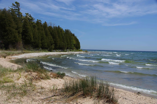 Lily Bay