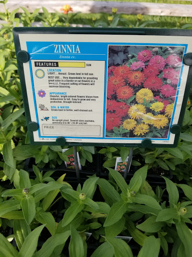 Florist «Lyndhurst Florist», reviews and photos, 5268 Mayfield Rd, Lyndhurst, OH 44124, USA