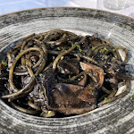 Photo n°1 de l'avis de Elena.l fait le 31/10/2021 à 20:45 sur le  Granso Stanco à Chioggia