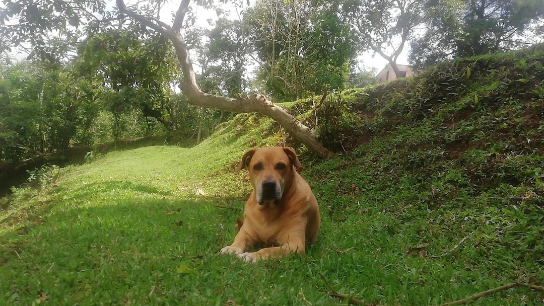 Reserva Natural Agonizando