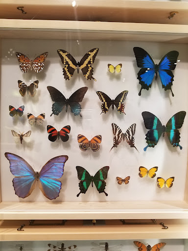 Science Museum «Cook Museum of Natural Science», reviews and photos, 133 4th Ave NE, Decatur, AL 35601, USA