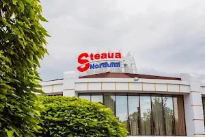 Steaua Nordului image