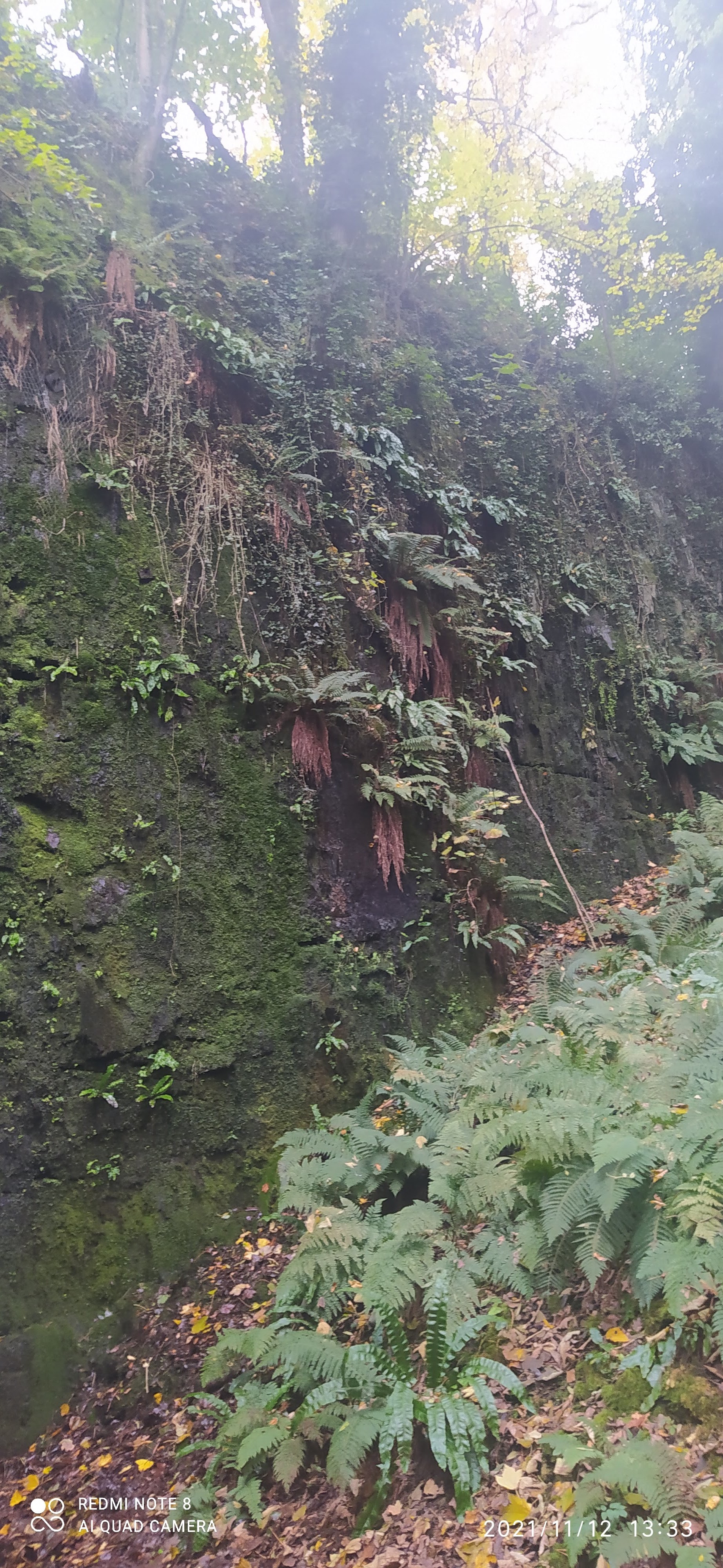 Photo n° 4 de l'avis de Melanie.e fait le 12/11/2021 à 16:26