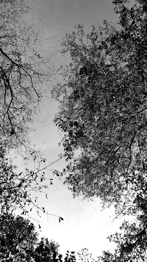 Park «Jones Bridge Park», reviews and photos, 4901 E Jones Bridge Rd, Peachtree Corners, GA 30092, USA