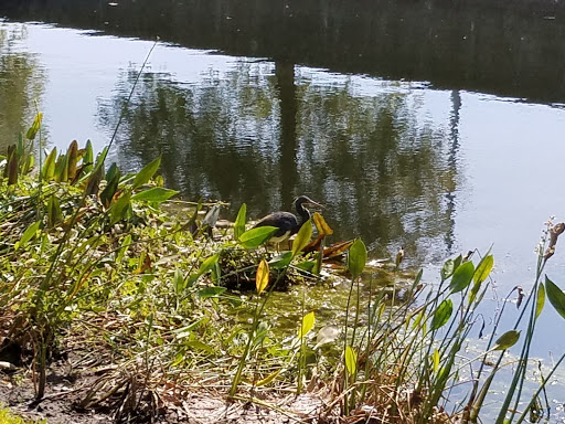 Insurance Agency «GEICO Corporate Office», reviews and photos