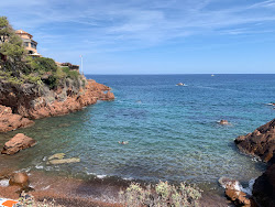 Foto di Plage Les Roches de l'ile des Vieilles con costa corta e dritta