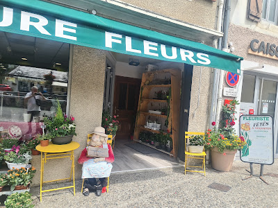 Aure Fleurs à Arreau