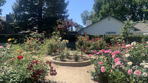 Community Rose Garden
