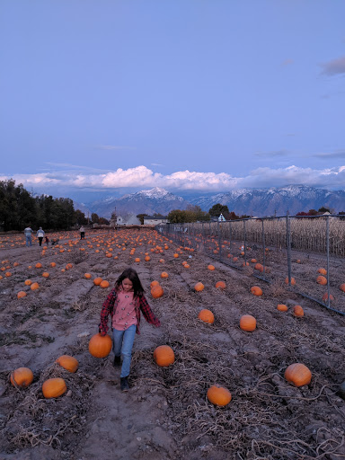 Pumpkin patch West Jordan