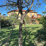 Photo n°2 de l'avis de Laurent.t fait le 08/08/2023 à 07:51 sur le  Le rotonde à Massaciuccoli