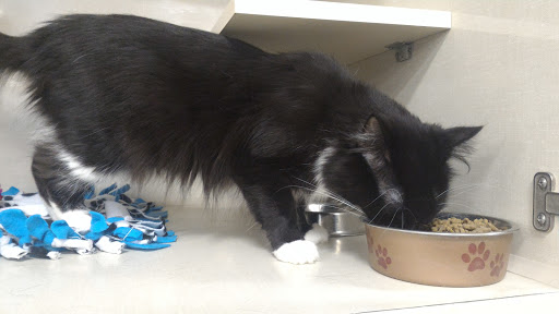 Pet Supply Store «Petco Animal Supplies», reviews and photos, 3731 Gateway Dr, Eau Claire, WI 54701, USA