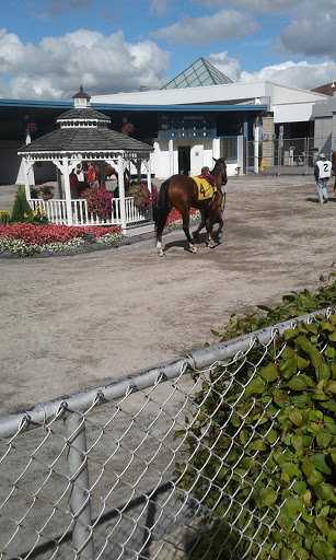 Casino «Finger Lakes Gaming & Racetrack», reviews and photos, 5857 NY-96, Farmington, NY 14425, USA