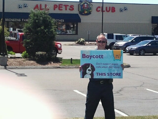 all pets club - 43 photos 38 reviews - pet stores - 1167 n colony rd wallingford ct - phone number on all pets club north colony road wallingford ct