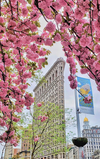 Park «Madison Square Park», reviews and photos, 11 Madison Ave, New York, NY 10010, USA