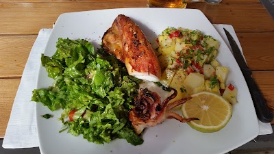 Photos of MOLYVOS RESTAURANT