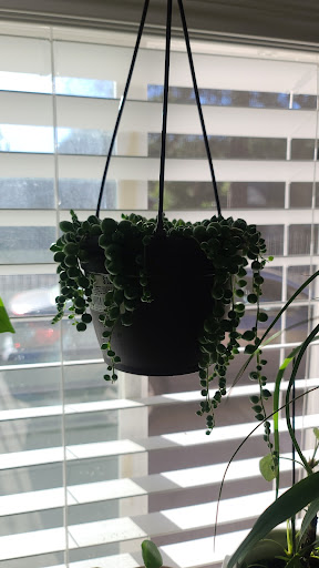 Home Improvement Store «The Home Depot», reviews and photos, 8000 Folsom Blvd, Sacramento, CA 95826, USA