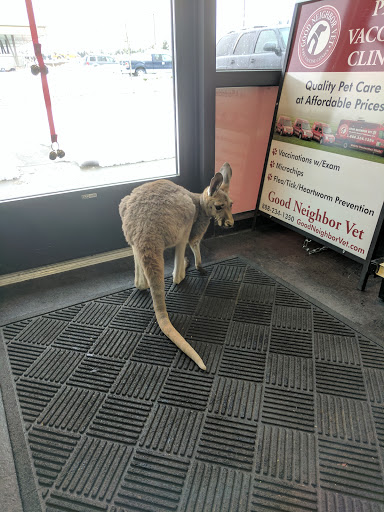 Pet Supply Store «Pet Pros Puyallup», reviews and photos, 5614 176th St E, Puyallup, WA 98375, USA