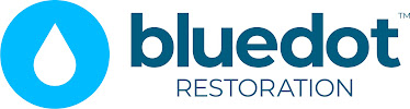 Blue Dot Restoration - Photo 7 - Car repair in Colonie, NY, Albany