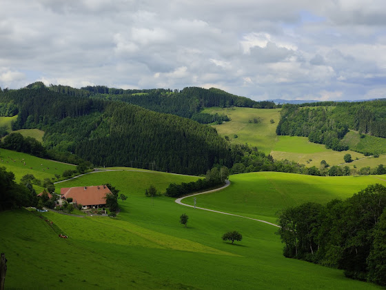 Photos des visiteurs Maison d'hôtes Buchjockenhof 77796 Mühlenbach