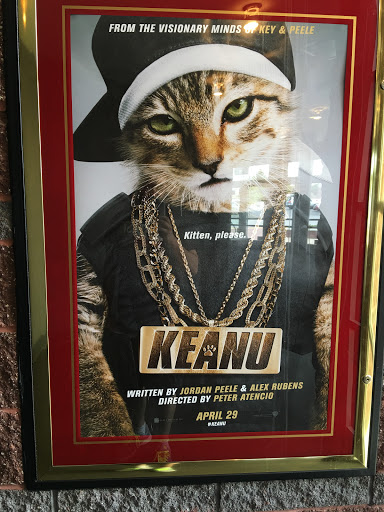 Movie Theater «AMC Springfield 11», reviews and photos, 3200 E Montclair St, Springfield, MO 65804, USA