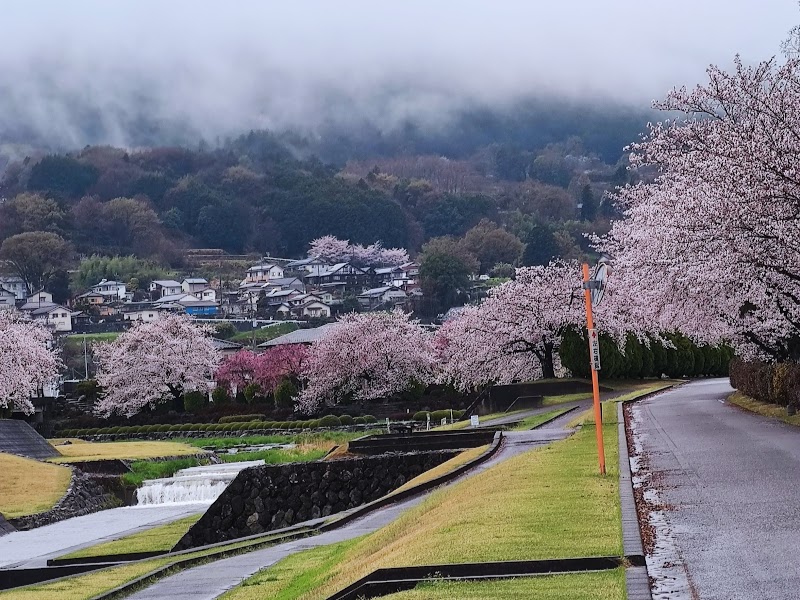 櫛形総合公園