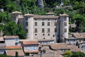 Vogüé Castle image