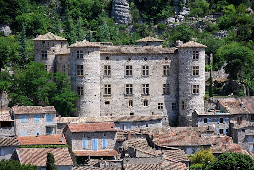 attractions Château de Vogüé Vogüé