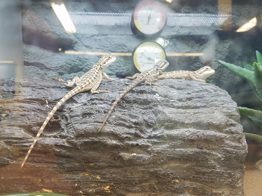 Pet Supply Store «Petco Animal Supplies», reviews and photos, 19767 Haynes Road, Catoosa, OK 74421, USA