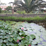 Photo n°2 de l'avis de Francesco.a fait le 22/07/2018 à 10:17 sur le  Hotel Capo Sud à Capoliveri