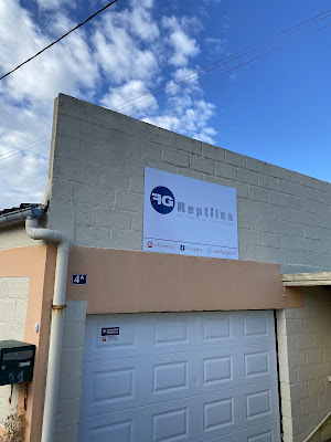 Fg Reptiles à Cherbourg-en-Cotentin