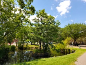 Veterans Park - photo 3