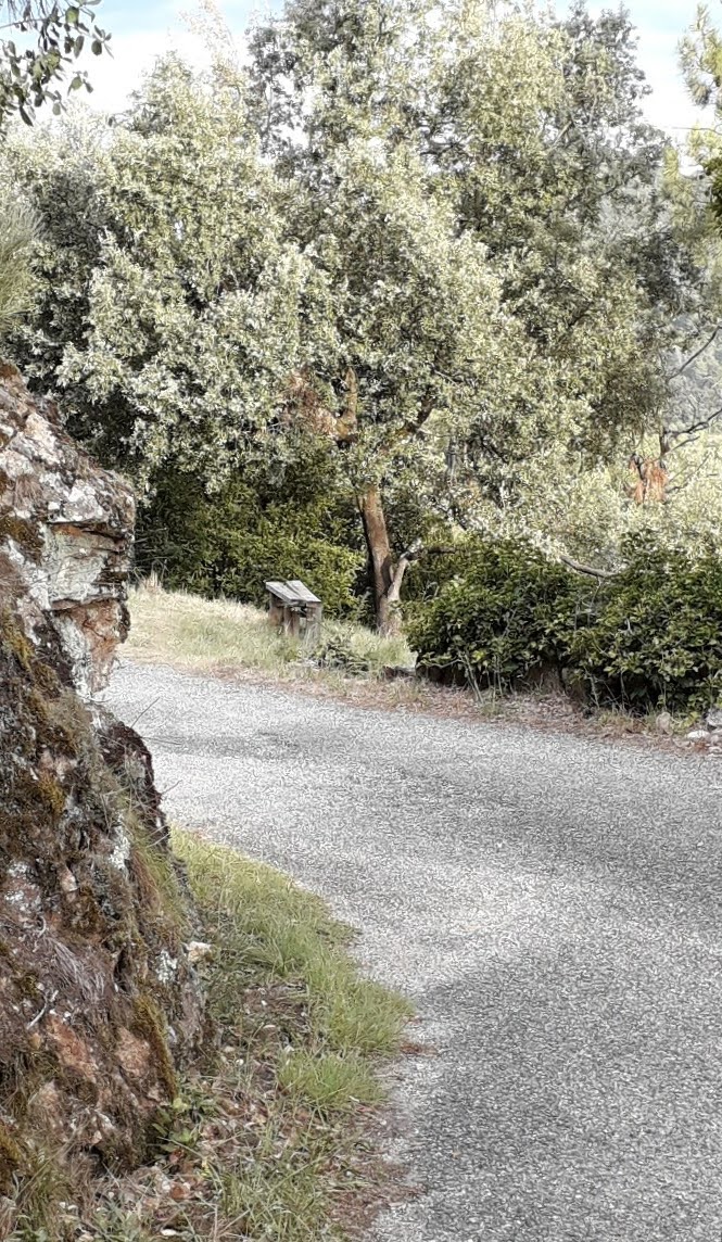 Photo n° 5 de l'avis de Cyril.A fait le 02/08/2020 à 13:00