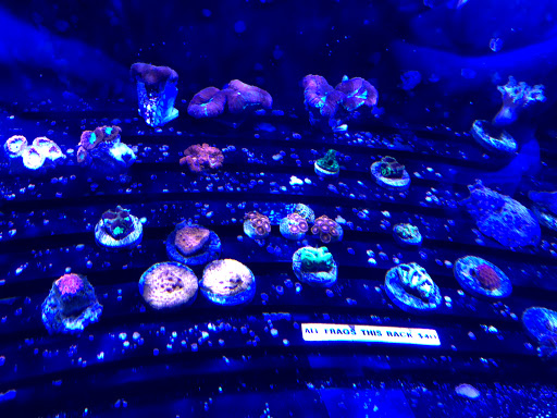 Pet Supply Store «Pets Plus», reviews and photos, 123 Nashua Rd #7, Londonderry, NH 03053, USA