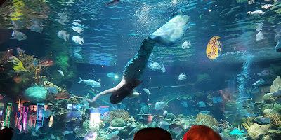 The Aquarium at Silverton Casino