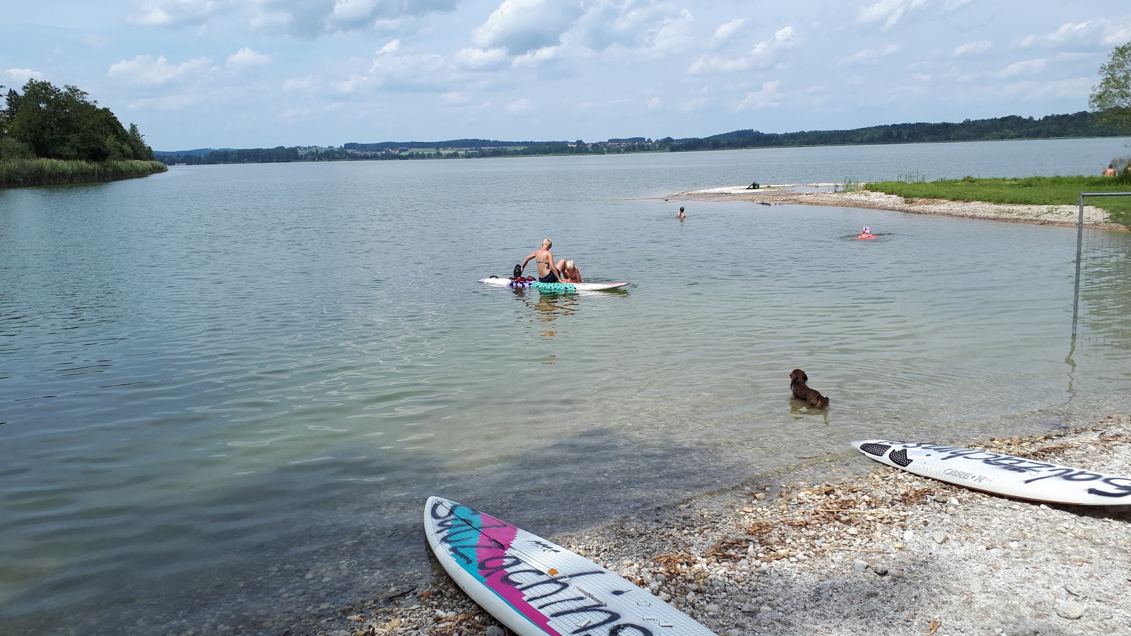 Hundestrand Salzachinsel photo #7