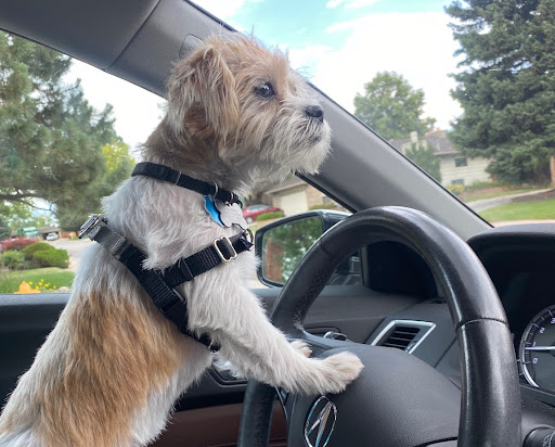 Auto Body Shop «Fix Auto Highlands Ranch», reviews and photos, 3900 Norwood Dr, Littleton, CO 80125, USA