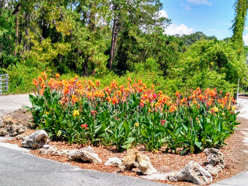 Golf Shop «Mission Inn Golf Pro Shop», reviews and photos, 10400 County Rd 48, Howey In Hills, FL 34737, USA