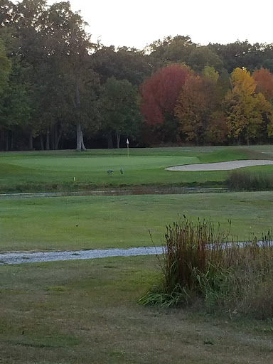 Golf Club «Fenton Farms Golf Club», reviews and photos, 12312 Torrey Rd, Fenton, MI 48430, USA